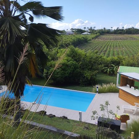 T2 Jardin Clos Les Nids De La Colline Saint-Francois  Exterior photo