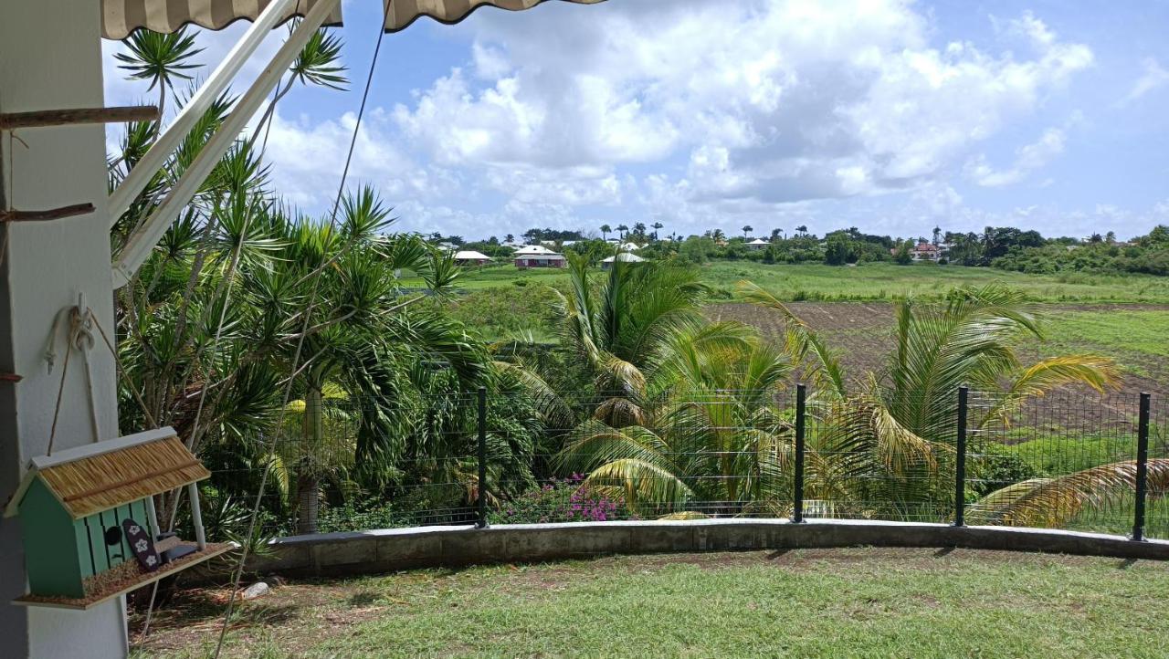 T2 Jardin Clos Les Nids De La Colline Saint-Francois  Exterior photo