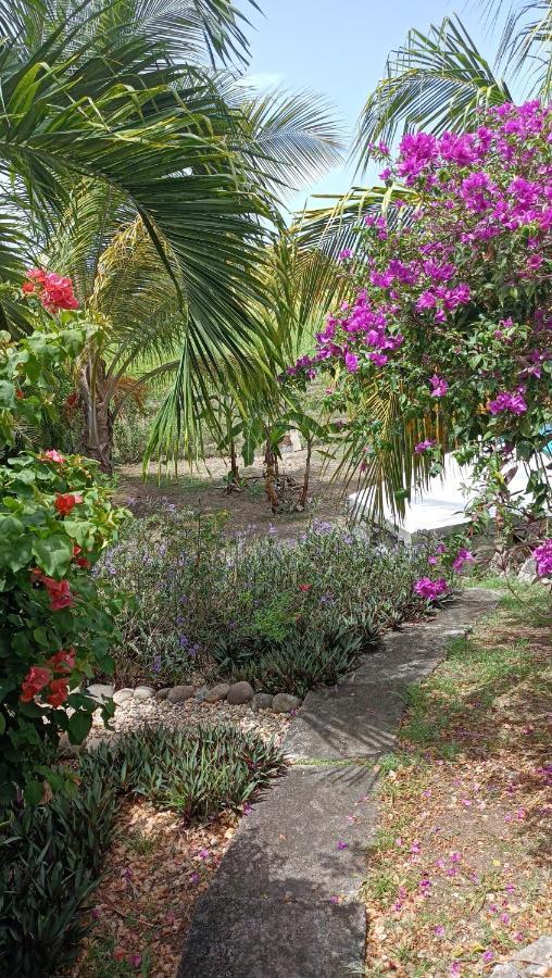 T2 Jardin Clos Les Nids De La Colline Saint-Francois  Exterior photo